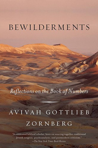 Bewilderments: Reflections of the Book of Numbers