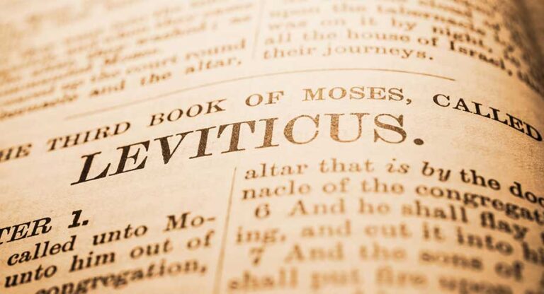 A close look at Leviticus 19 to 24